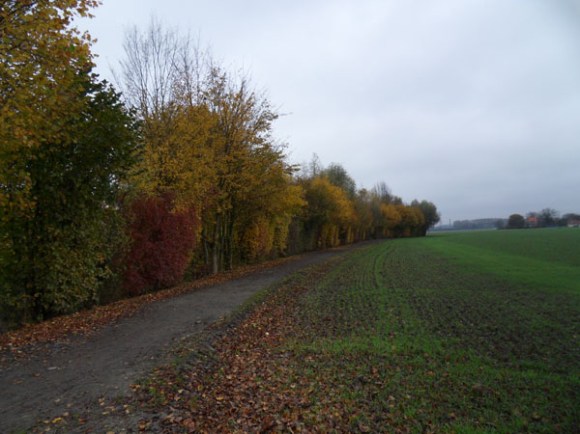 Willems VTT 2014 paysage