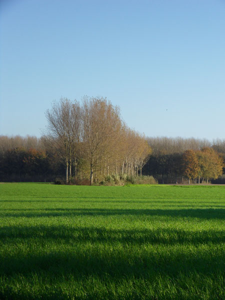  Entre-deux-monts-Pottes-201417