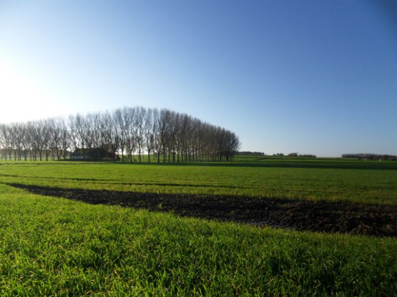  Entre-deux-monts-Pottes-201414