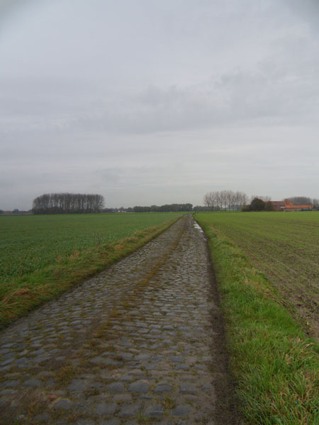 Willems VTT 2014 paysage