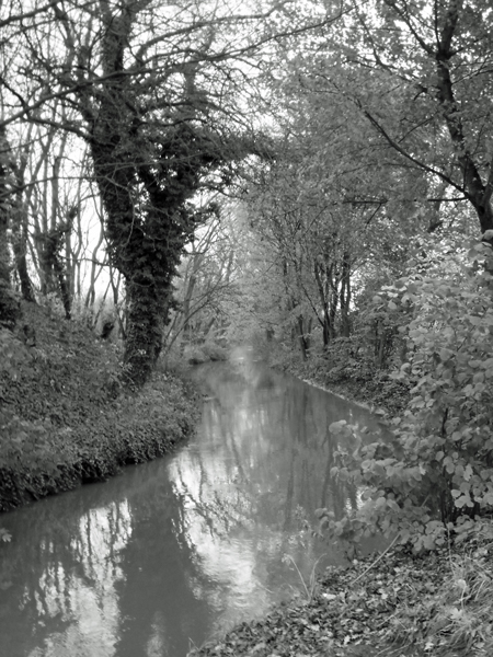 Willems VTT 2014 paysage