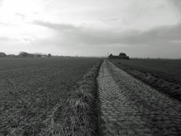 Willems VTT 2014 paysage