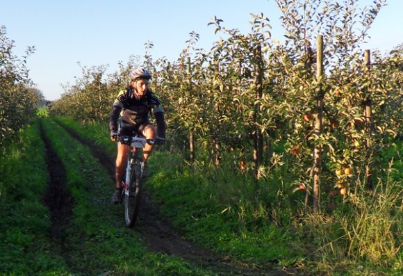 SAMSUNG DIGITAL CAMERA