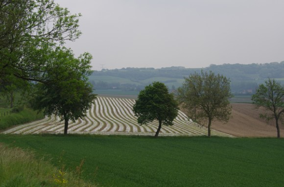 Le dormeur du val - Randonnée permanente FFCT