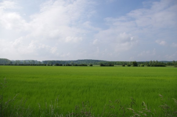 Vallée de la Canche