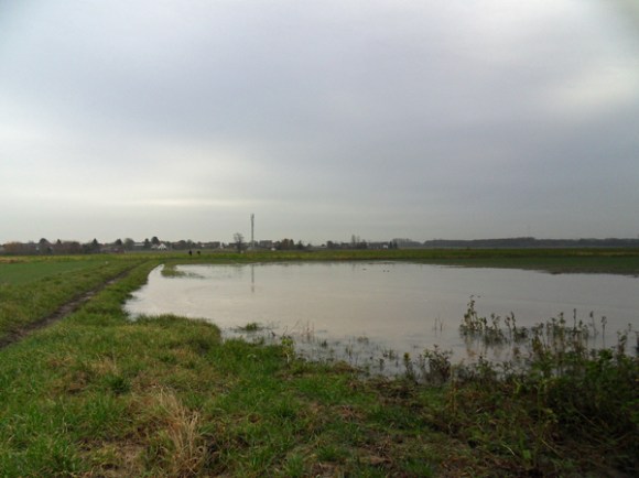 La ronde des rois VTT 2015 - Champ inondé