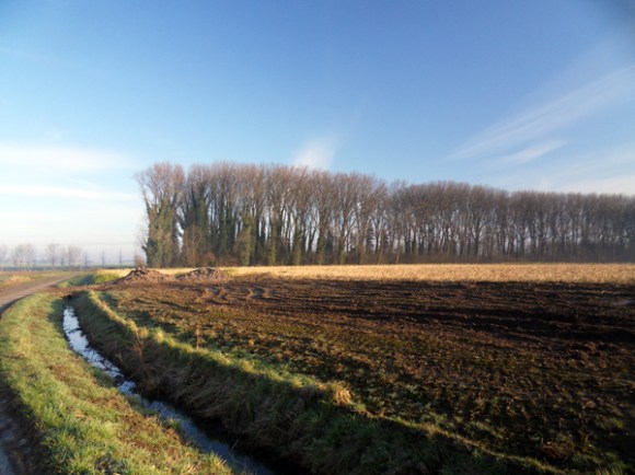 Toufflers VTT 2015 Paysage