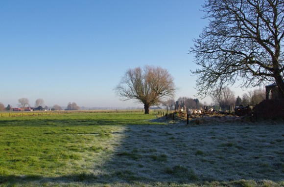 Retrouvailles 2015 - paysage