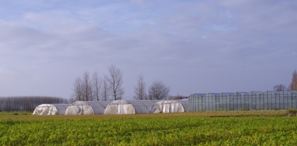 Randonnée tourquennoise 2015 - paysage