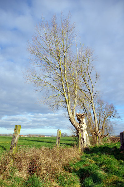 Randonnee de paques - Mouveaux 2015 - 149