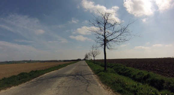 Géant Lambert 2015 - Paysage