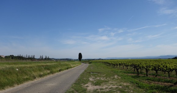 Les gorges de l'ardèche