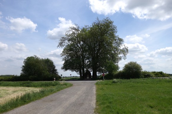 Wallers Roubaix VTT 2015 - Bouvines Roubaix 308