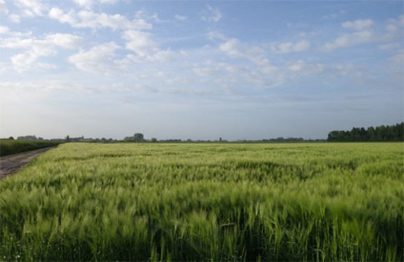 Wallers Roubaix VTT 2015 - 86