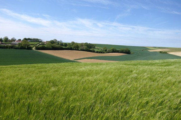 Lille Hardelot 2015-289