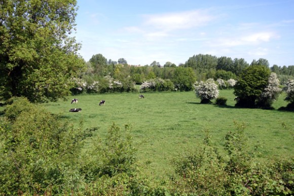 Lille Hardelot 2015-207