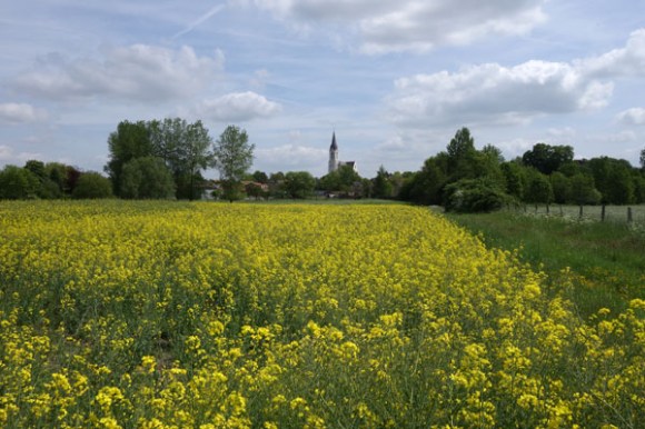 Wallers Roubaix VTT 2015 - Attiches Bouvines 301