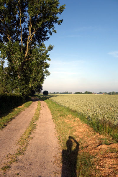 Souvenir Pierre Cosyn - Linselles 2015 101