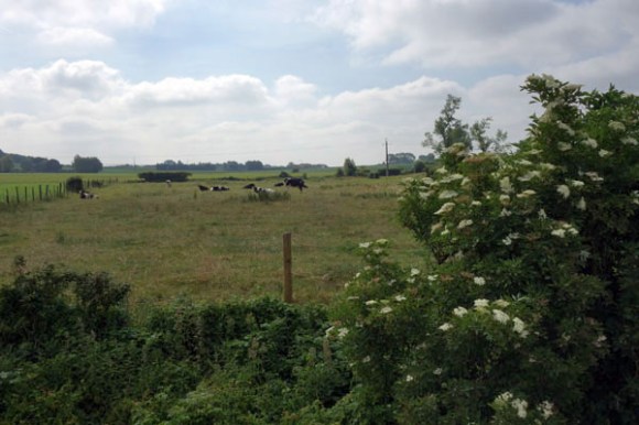 Souvenir Pierre Cosyn - Linselles 2015 78