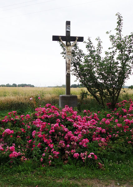 Rallye de la Ducasse - Bois Grenier 2015 3