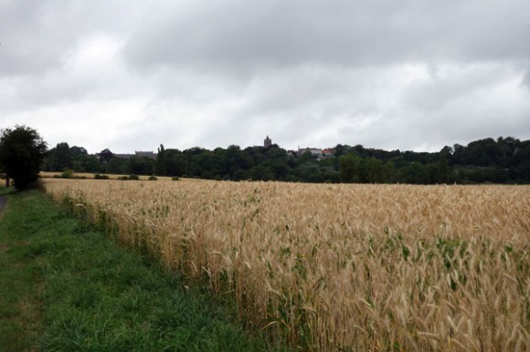 Rallye de la Ducasse - Bois Grenier 2015 9