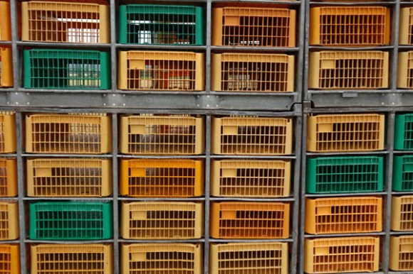 Rallye de la Ducasse - Bois Grenier 2015 8