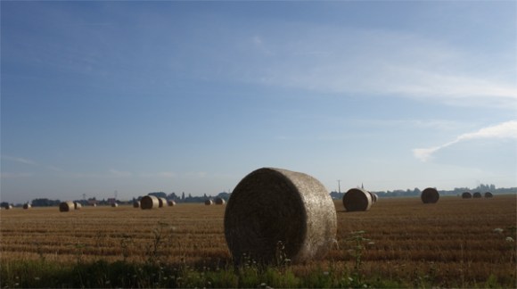 Souvenir Patrick HANQUEZ Houplines 2015 8