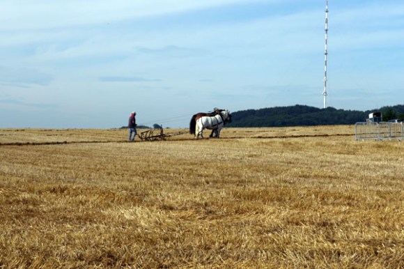 Souvenir Patrick HANQUEZ Houplines 2015 60