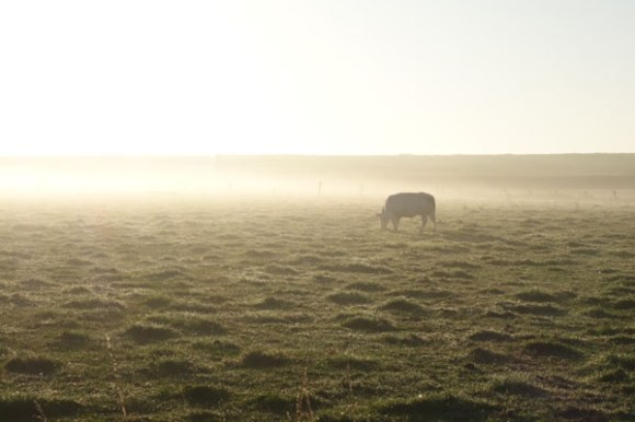 Monts et Moulins Roubaix 2015 20