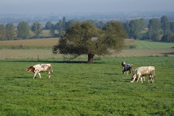 Monts et Moulins Roubaix 2015 62