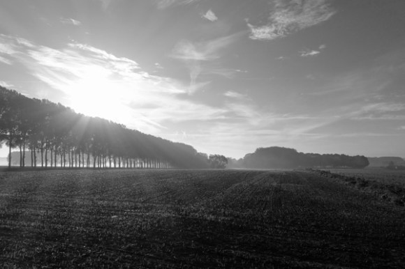 Circuit des chateaux - Leers  2015 9