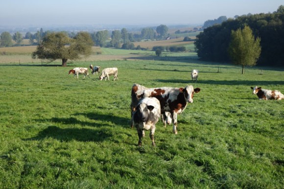 Monts et Moulins Roubaix 2015 61