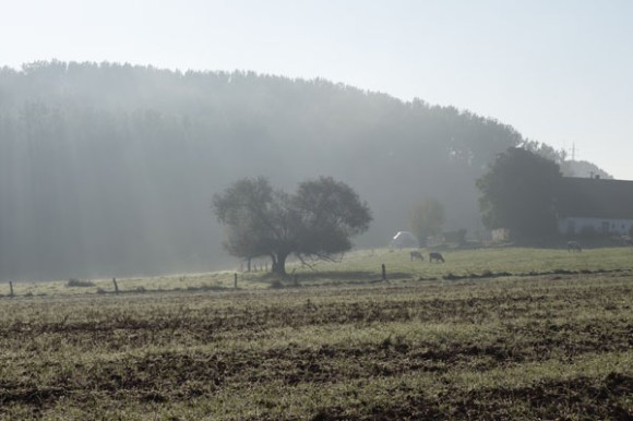 Monts et Moulins Roubaix 2015 59