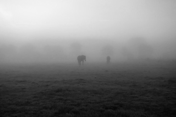 Circuit des chateaux - Leers  2015 3