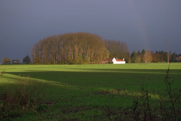 Pat Lys - Lys Lez Lannoy 2015 7