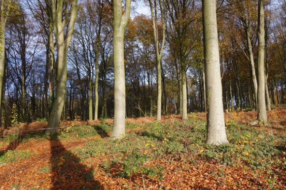 Entre deux Monts - Dwars door de 2 bergen 2015129