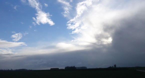 Pat Lys - Lys Lez Lannoy 2015 20