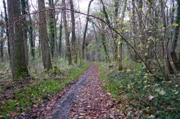 Randonnee des trois vallees - Saint Saulve 2015  19