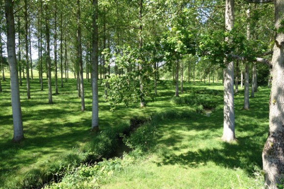 Veloscenie 2015 4 -  15