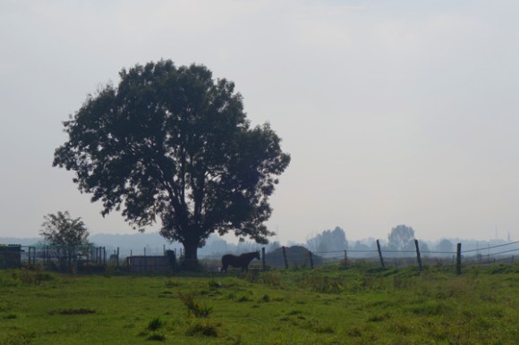 La chapelle d'Armentieres 2015 - 130