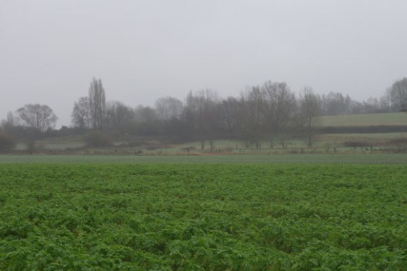 Ronde de Noel - Roncq 2015 51