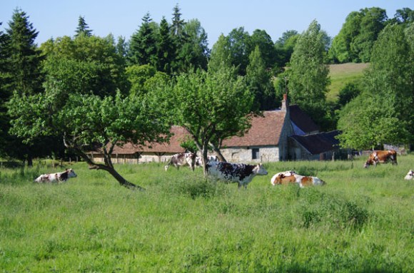 Veloscenie 2015 4 -  32