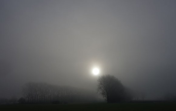 Paysages dans la brume -  7