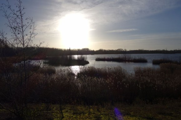 Randonnee de l'epiphanie - Flines les raches 2016 98