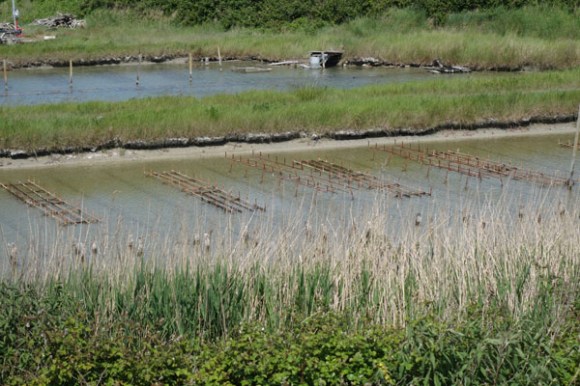 Veloscenie 2015 - Mont Saint Michel 15