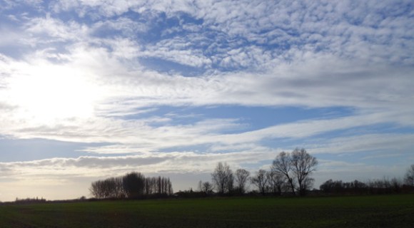 Randonnee de l'epiphanie - Flines les raches 2016 176