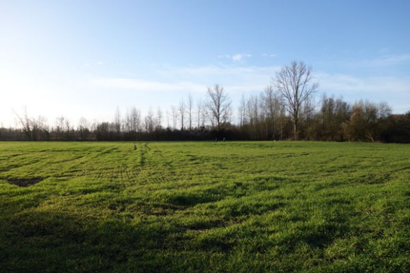 Randonnee de l'epiphanie - Flines les raches 2016 67