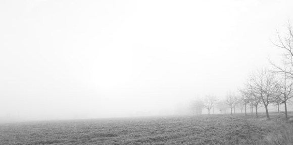 Paysages dans la brume -  1