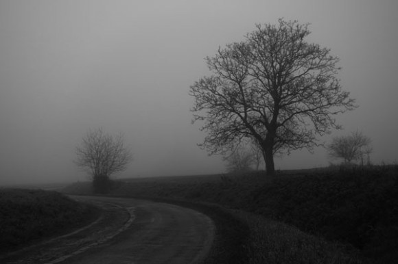 Paysages dans la brume -  8
