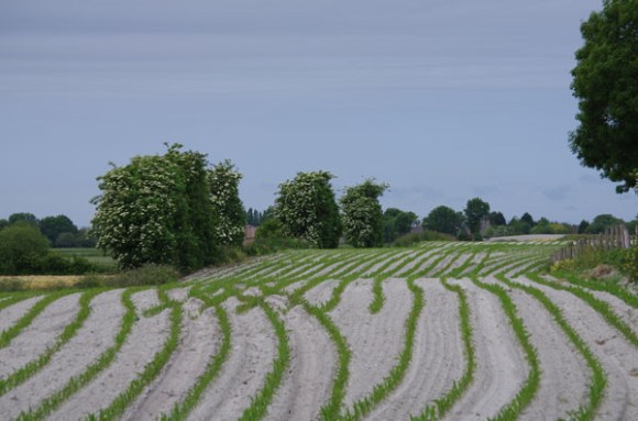 Veloscenie 2015 - Mont Saint Michel 29
